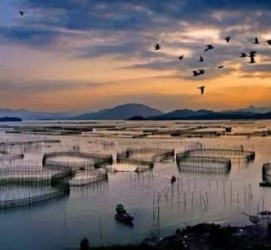 昌吉伴游中国网景点丰富(旅游网介绍)