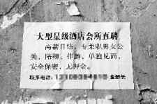 昌吉珠海伴游雇用网(珠海游览社雇用信息)