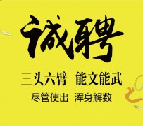 昌吉私人伴游招聘 一线二线城市招聘大圈中圈小圈女孩商务模特佳丽女模名媛招聘高薪一单一结
