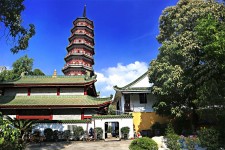 昌吉广州自由行(广州 自由行)