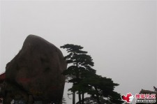昌吉上海伴游私家陪游雇用女模(上海伴游私家陪游雇用女模特)