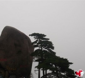 昌吉上海伴游私家陪游雇用女模(上海伴游私家陪游雇用女模特)