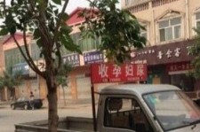昌吉上海伴游 用伴游造句大全(5