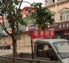 昌吉上海伴游 用伴游造句大全(5