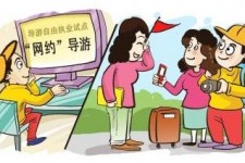 昌吉伴游是什么