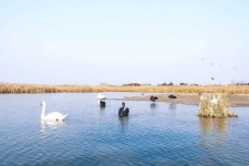 昌吉南昌附近伴游小妹兼职(1534939978姐的微信德惠市)