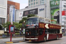 昌吉上海私人伴游 上海过年怎么玩？这些“微游”线路了解下→