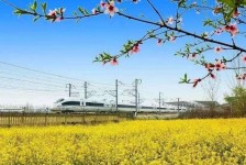 昌吉高铁游(高铁游戏下载手机版)