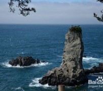 昌吉旅游全攻略(上海旅游全攻略)