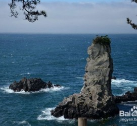 昌吉旅游全攻略(上海旅游全攻略)