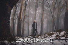 昌吉上海私人伴游 上海伴游，上海兼职伴游安全吗