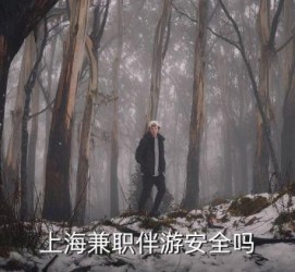 昌吉上海私人伴游 上海伴游，上海兼职伴游安全吗