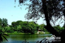 昌吉西湖旅游攻略(上海到杭州西湖旅游攻略)
