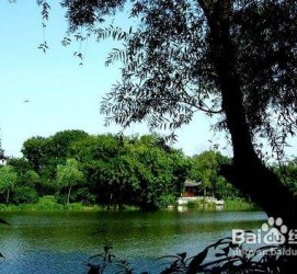 昌吉西湖旅游攻略(上海到杭州西湖旅游攻略)