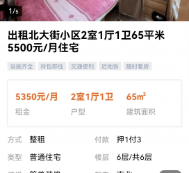 昌吉私人伴游是什么 “过年租友”陷阱：骗财与色情服务