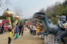 昌吉中国伴游带你打卡网红南山竹海(南山竹海网上预约)