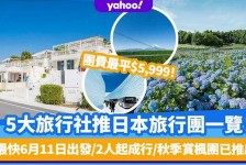 昌吉旅游价格(旅游价格机制)