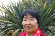 昌吉白叟带老伴游半个中国(白叟外出旅游)