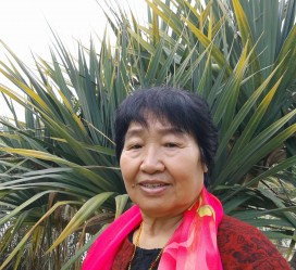 昌吉白叟带老伴游半个中国(白叟外出旅游)