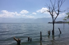昌吉洱海旅游攻略(洱海旅游攻略自由行)