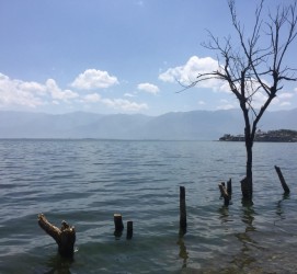 昌吉洱海旅游攻略(洱海旅游攻略自由行)