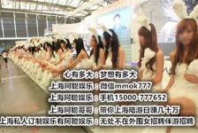 昌吉雇用旅游男伴游(北京商务酒店雇用伴游)