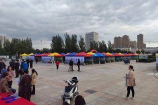 昌吉通辽伴游雇用(哈尔滨伴游雇用)