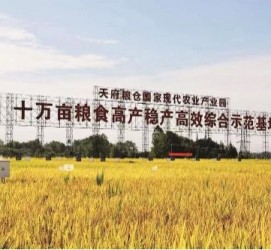昌吉关于成都商务伴游外围雇用的信息