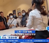 昌吉上海私人伴游 看·法｜100元游上海？！“旅社”涉嫌诈骗被一窝端
