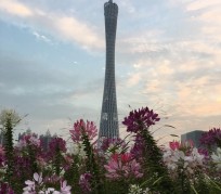 昌吉广州旅游攻略(杭州到广州旅游攻略)
