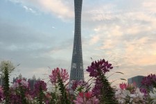 昌吉广州旅游攻略(杭州到广州旅游攻略)