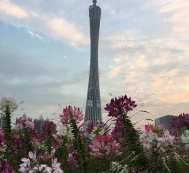 昌吉广州旅游攻略(杭州到广州旅游攻略)