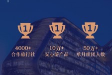 昌吉上海私人伴游 ​ “小而美”的新时代：2020年国内新跟团消费报告