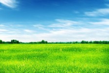 昌吉上海伴游 上海模特伴游微信号的交友宣言