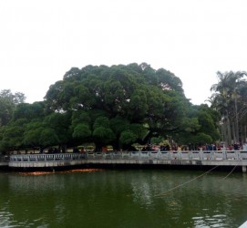 昌吉福州旅游攻略(福州旅游攻略二日游)