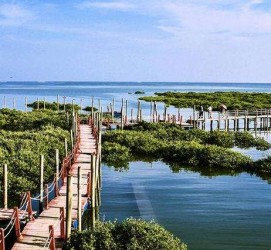 昌吉旅游哪里好玩(云南旅游哪里好玩)