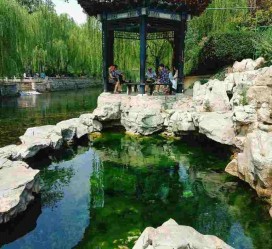 昌吉济南旅游攻略(青岛威海济南旅游攻略)