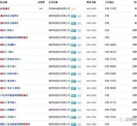 昌吉包罗昆明伴游雇用90万月薪的词条