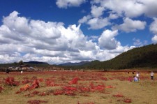 昌吉旅游去处(暑期最好的旅游去处)