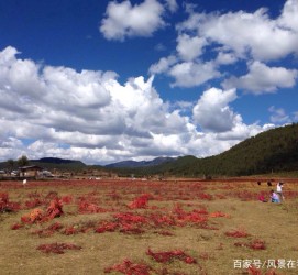昌吉旅游去处(暑期最好的旅游去处)
