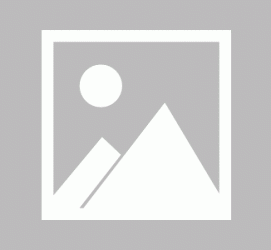 昌吉商务伴游招聘 不法分子冒充宾馆网上高薪招吧女要求思想前卫