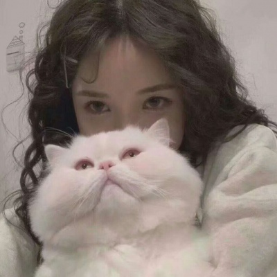 昌吉伴游女生韩婉婷的资料